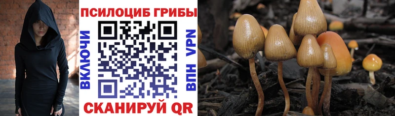 Псилоцибиновые грибы Magic Shrooms  Анадырь 